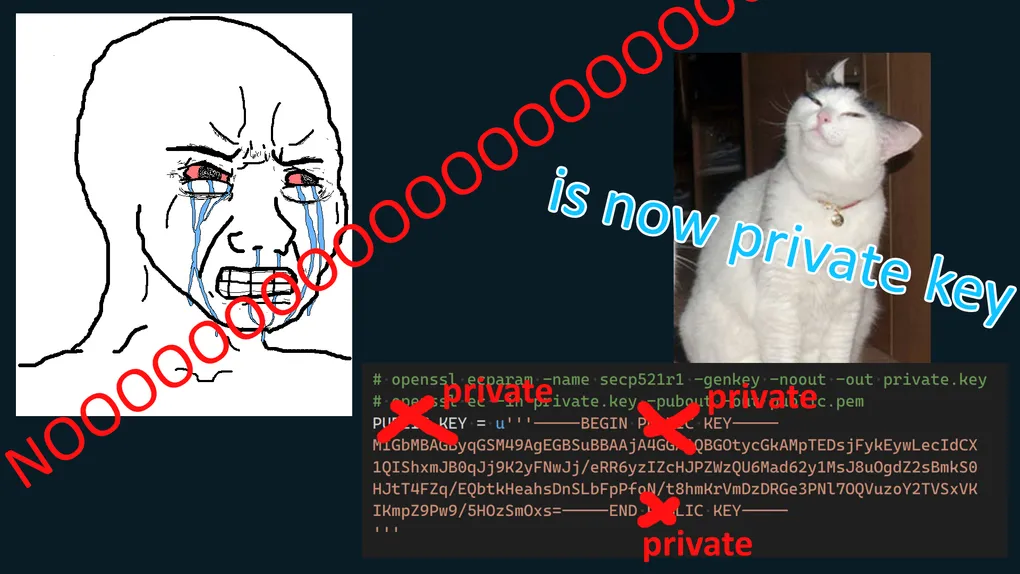 Verifiable credentials are the future of digital identity?